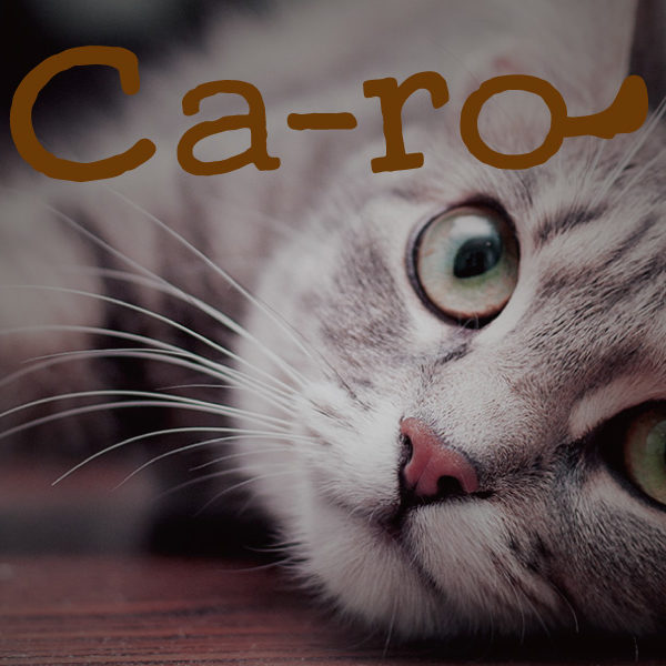 Ca-ro　：　オリジナルペットグッズ製作